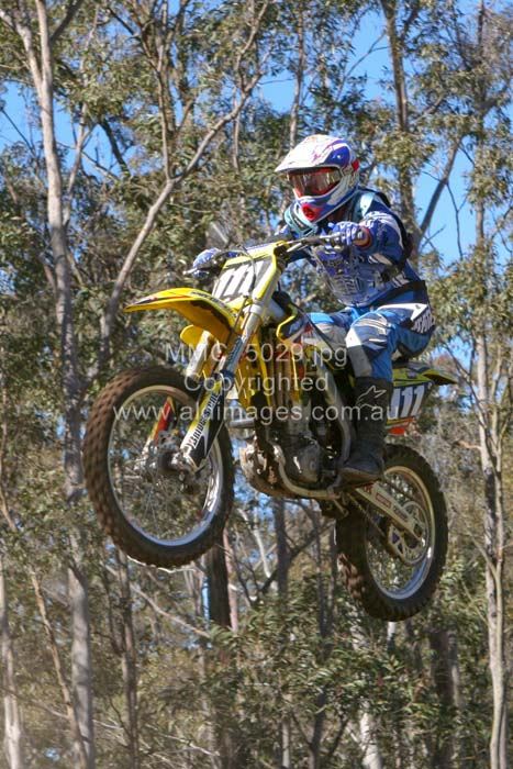 445x677 pixels (96K)